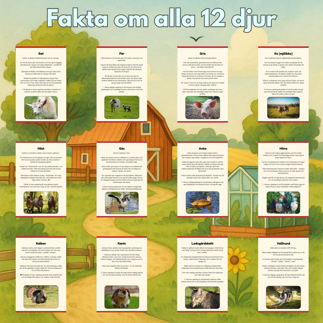 Bondgårdens djur | Digital målarbok med fakta
