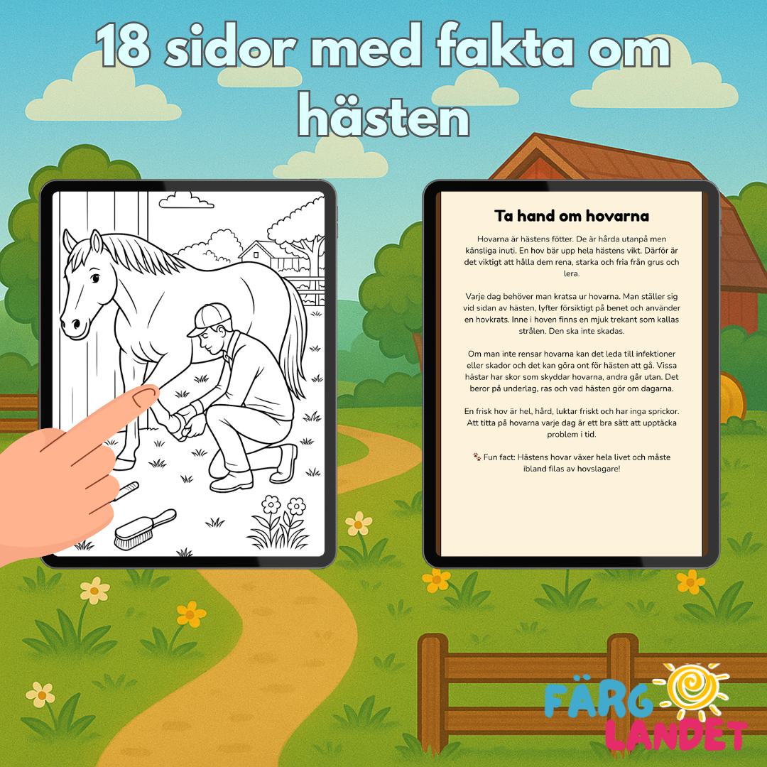 Min Hästbok | Digital målarbok med fakta