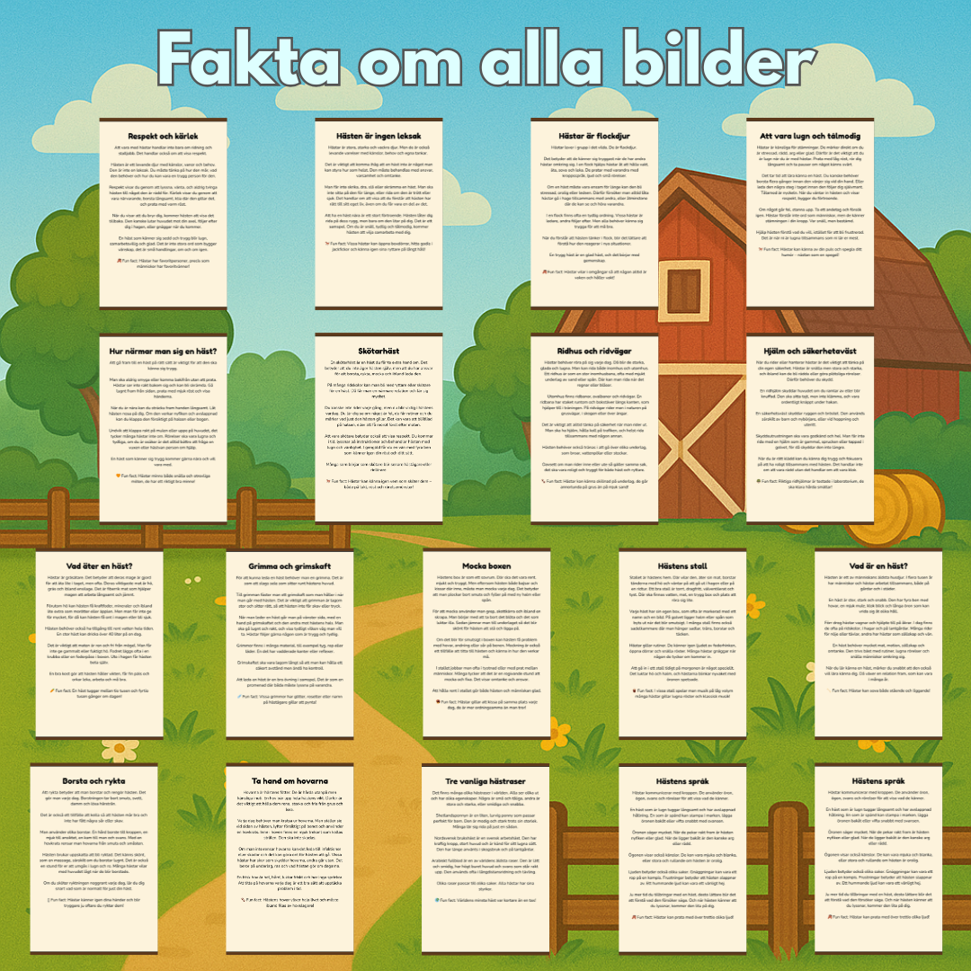 Min Hästbok | Digital målarbok med fakta