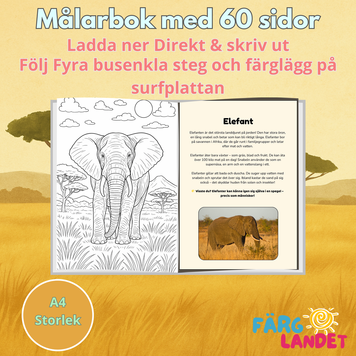 Mitt Safariäventyr | Digital målarbok med fakta